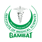 PIR ABDUL QADIR SHAH JEELANI INSTITUTE logo