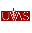 Research Associate & DPL (Unskilled) Jobs at University of Veterinary & Animal Sciences Lahore – July 2026